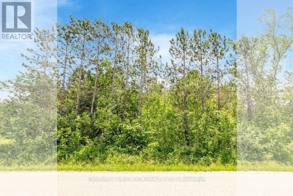 37 Todd Lane, Tay, Ontario  L0K 2A0 - Photo 16 - S13740254