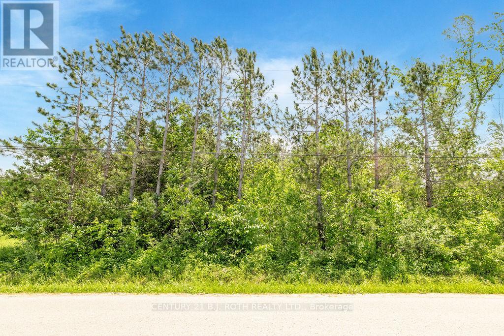 37 Todd Lane, Tay, Ontario  L0K 2A0 - Photo 17 - S13740254