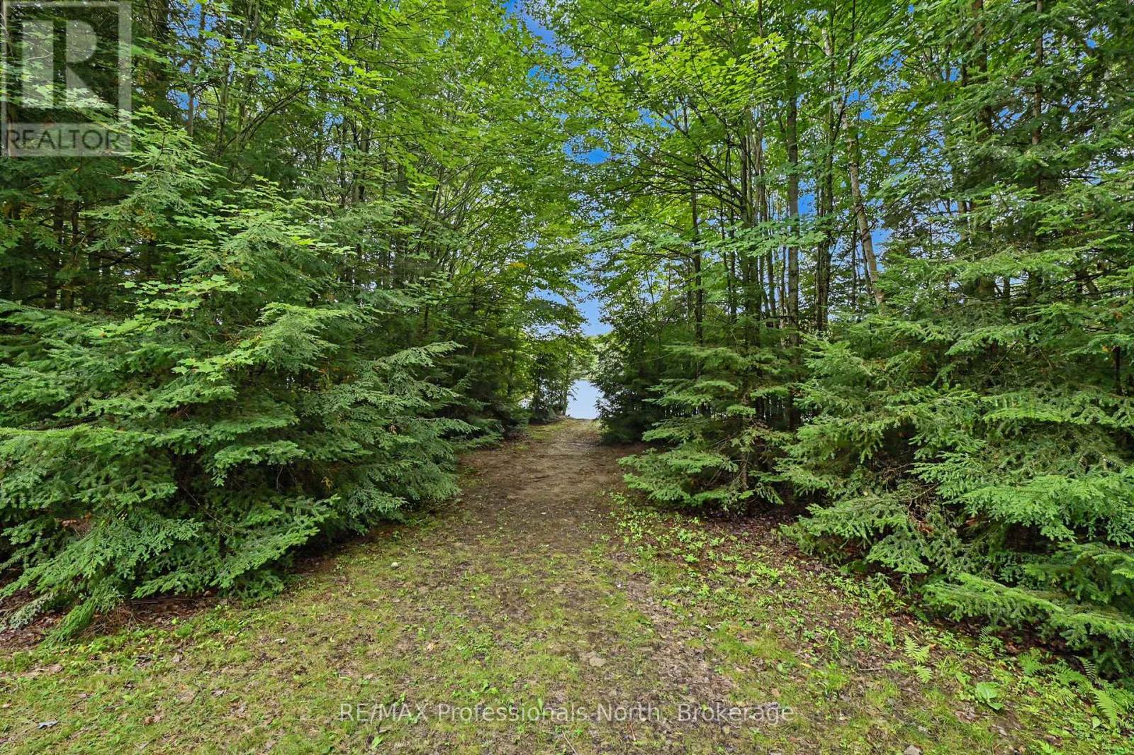 1363 Ross Lake Road, Dysart Et Al (Harburn), Ontario  K0M 1S0 - Photo 28 - X13740470