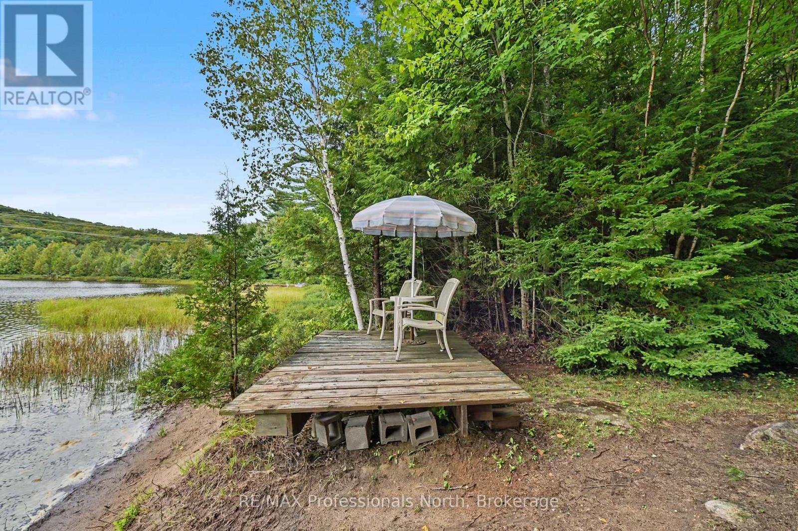 1363 Ross Lake Road, Dysart Et Al (Harburn), Ontario  K0M 1S0 - Photo 32 - X13740470