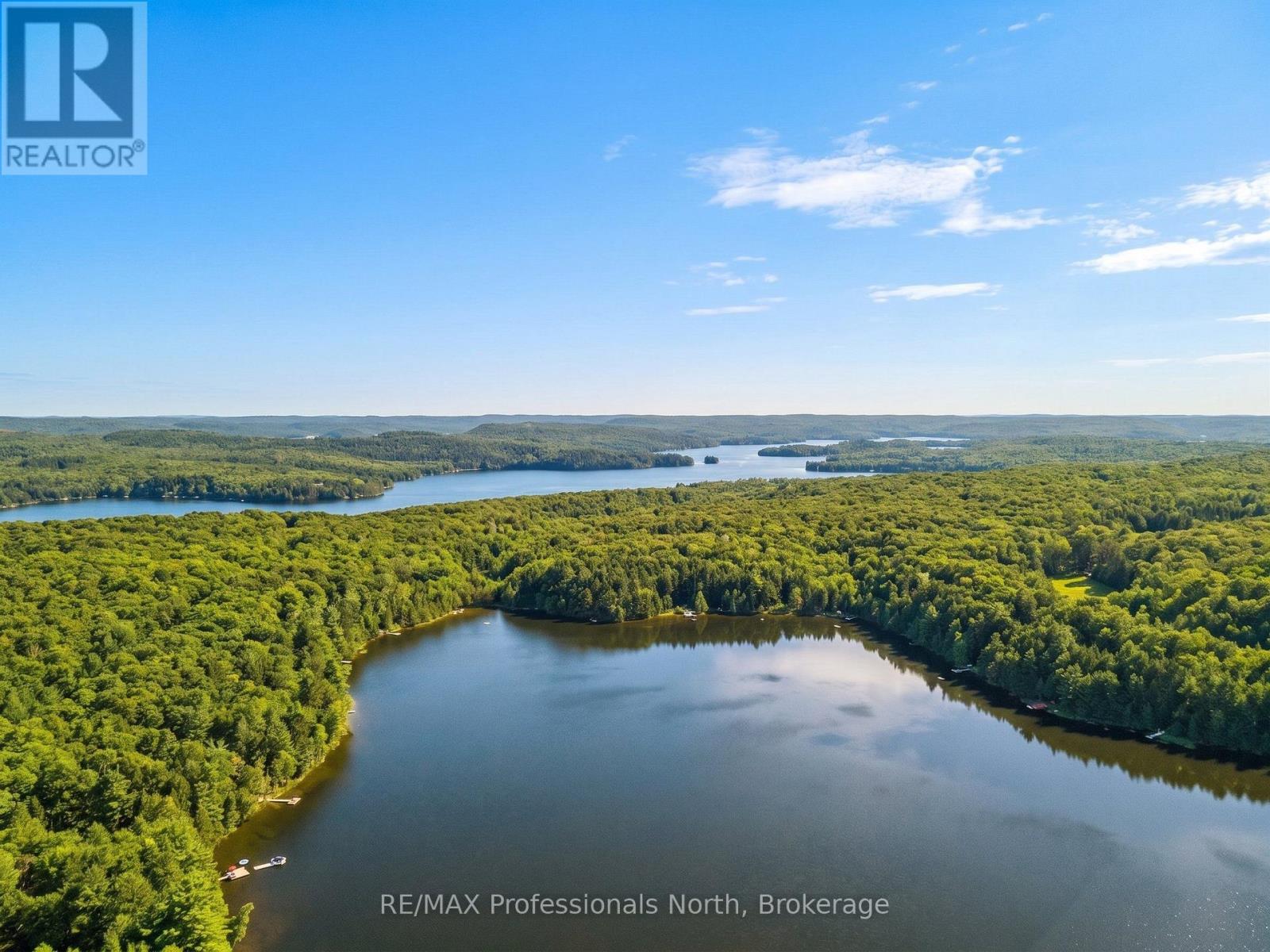 1363 Ross Lake Road, Dysart Et Al (Harburn), Ontario  K0M 1S0 - Photo 40 - X13740470