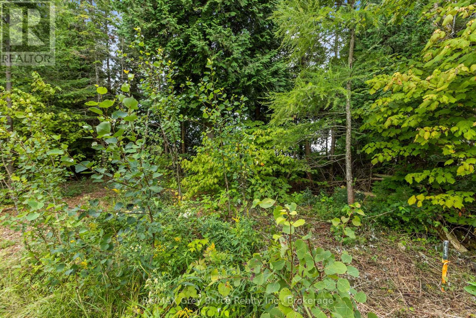 172 Greenough Point Road, Northern Bruce Peninsula, Ontario  N0H 2M0 - Photo 21 - X13740514