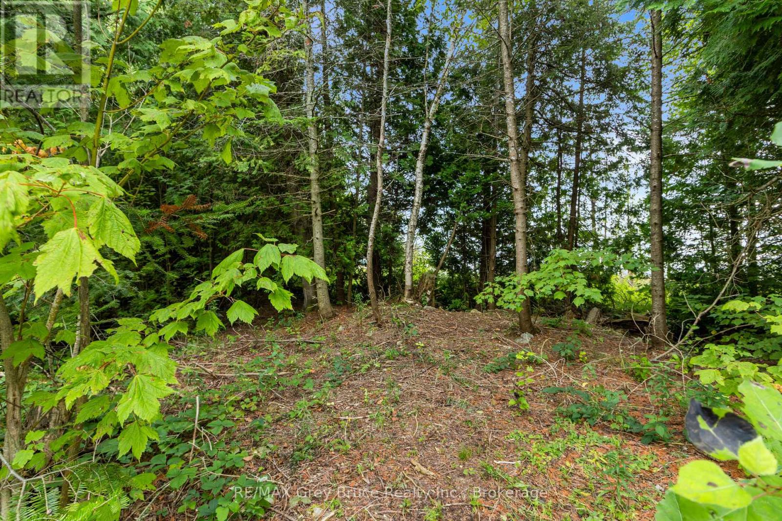 172 Greenough Point Road, Northern Bruce Peninsula, Ontario  N0H 2M0 - Photo 22 - X13740514