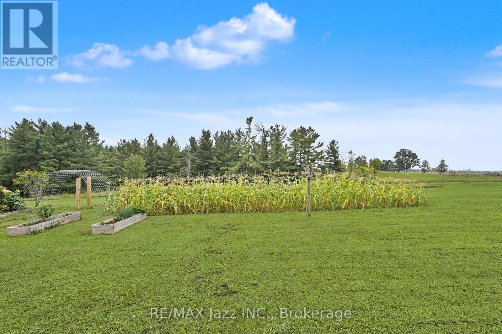 753 Syer 8th Line, Cavan Monaghan, Ontario  L0A 1C0 - Photo 20 - X13740502