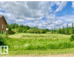 433 Swedberg St, Rural Wetaskiwin County, Alberta T0C 2V0 (30229833)