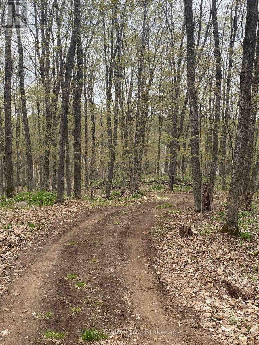 0 Kendrick Creek Lane, Minden Hills, Ontario K0M 2K0 - Photo 3 - X13740862