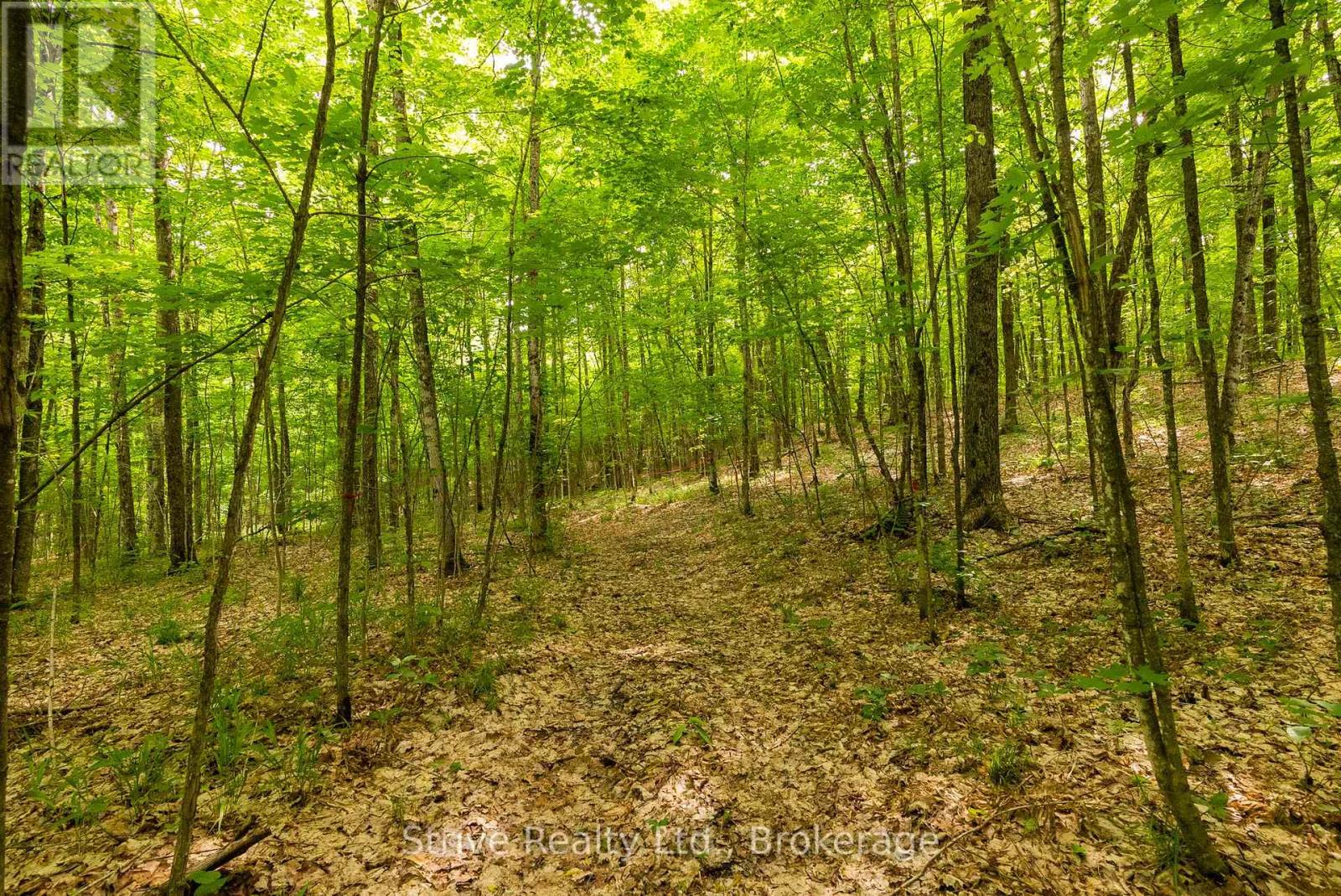 0 Kendrick Creek Lane, Minden Hills, Ontario K0M 2K0 - Photo 5 - X13740862