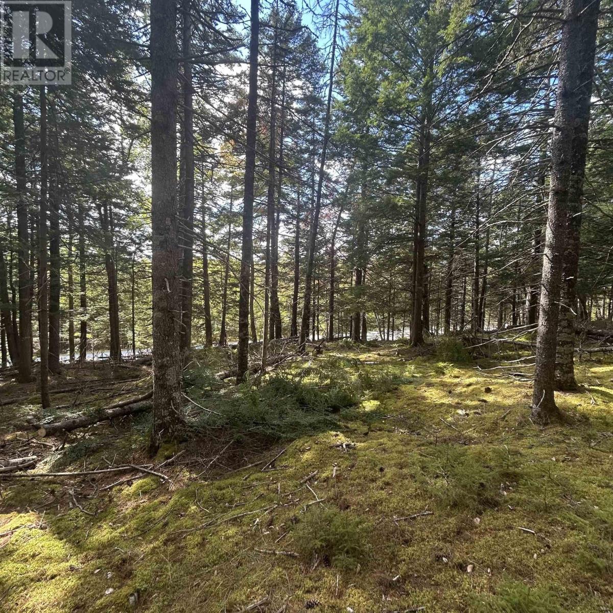 Lot 25-3 Conquerall Mills Road, Hebbville, Nova Scotia  B4V 7A3 - Photo 5 - 202524449