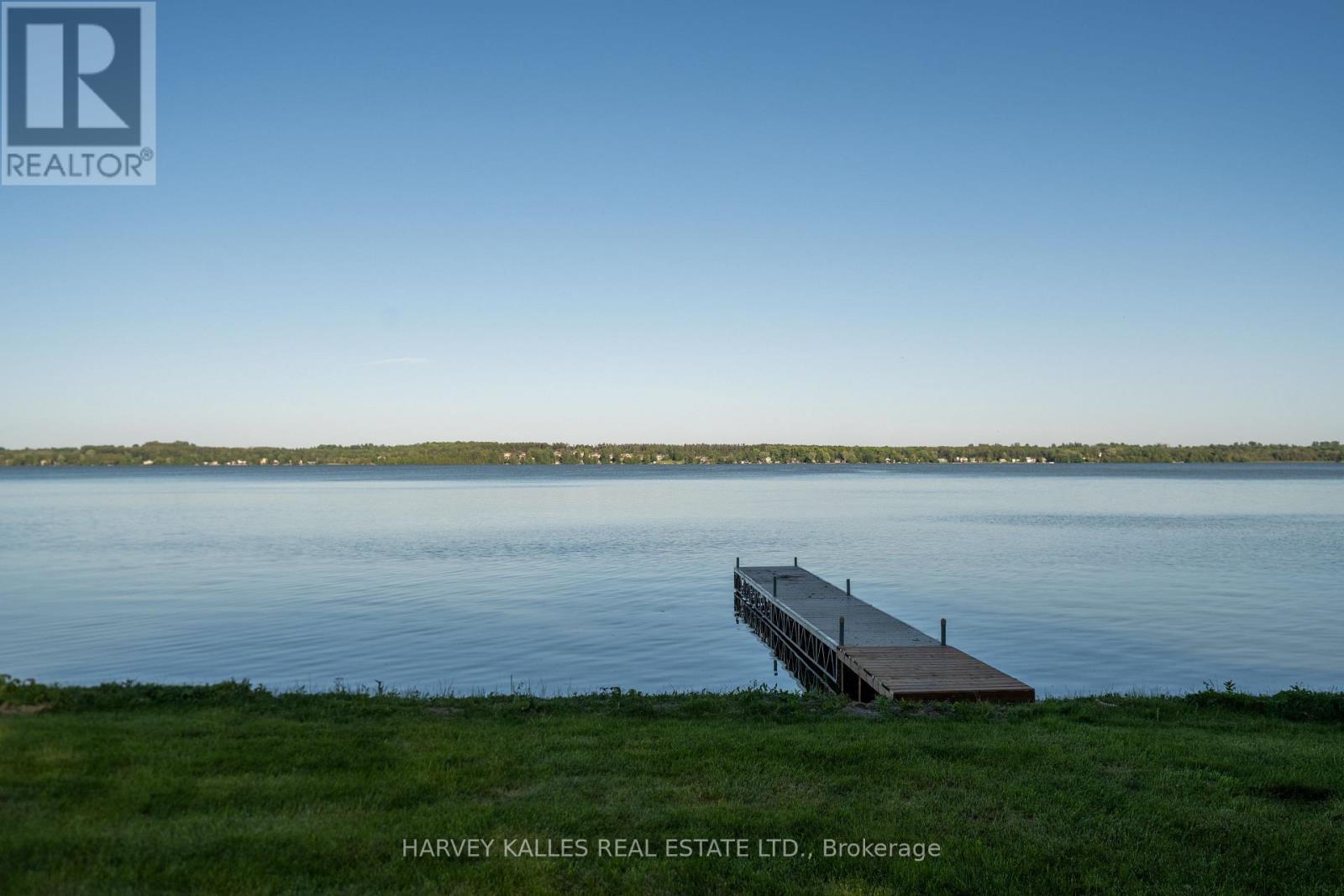 149 Ball Point Road, Kawartha Lakes, Ontario  L9L 1B6 - Photo 11 - X13740868