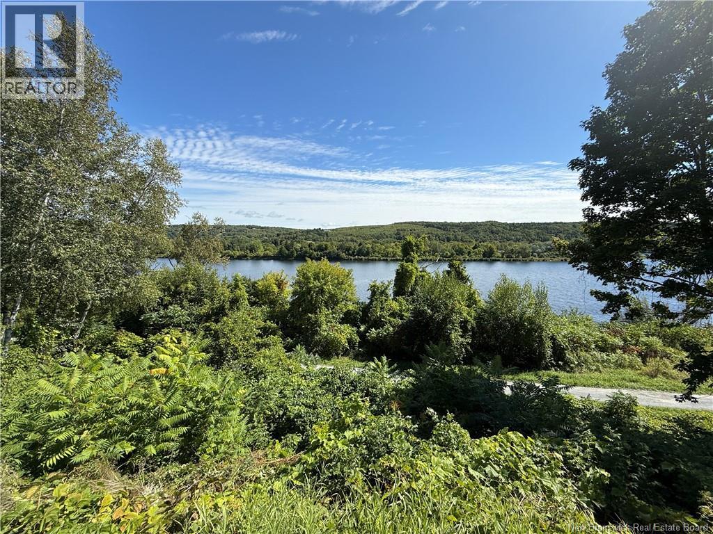 105 Bridge Street, Woodstock, New Brunswick  E7M 5Y7 - Photo 46 - NB135413