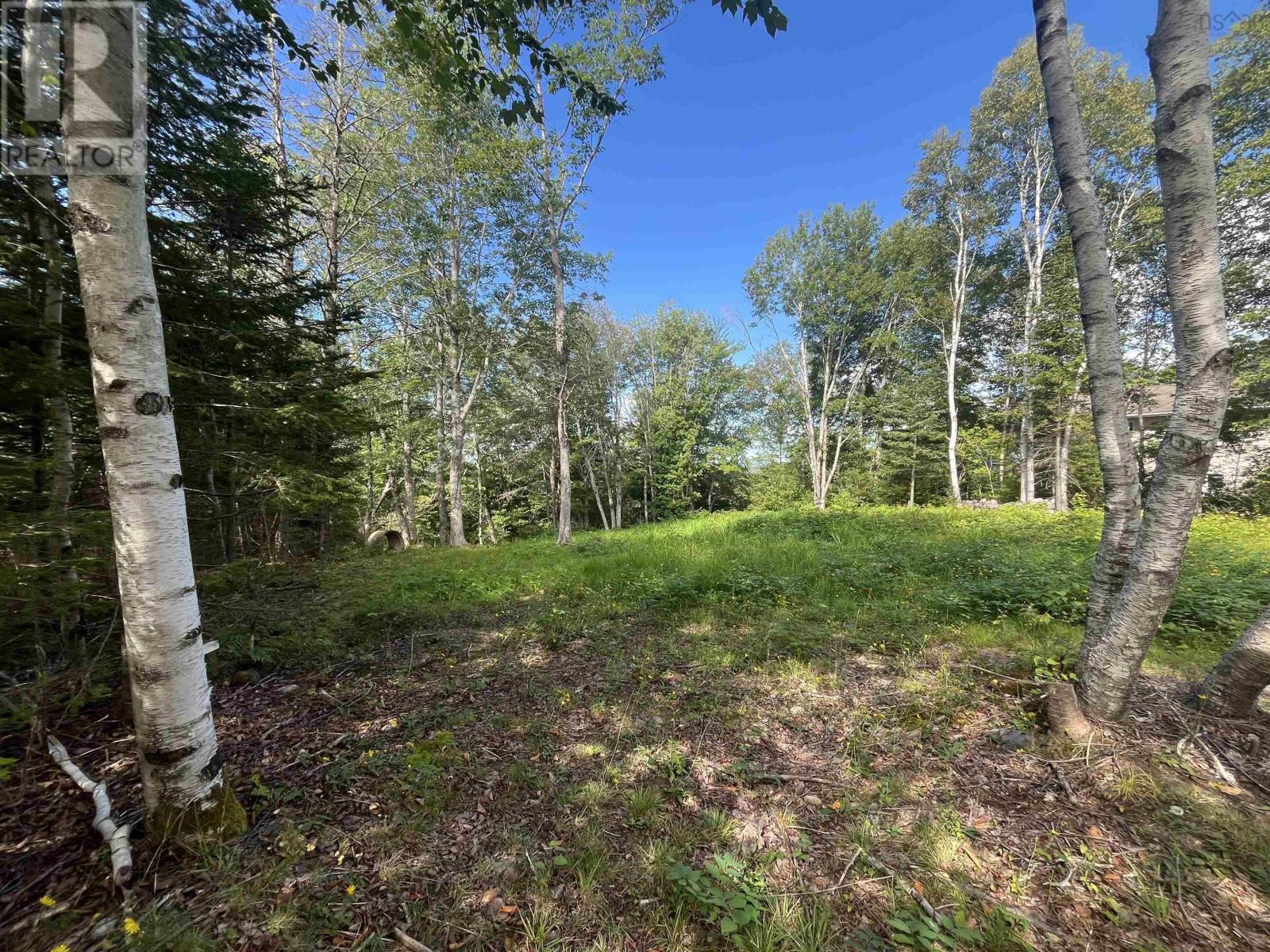 Lot 10 Palmer Drive, Windsor Road, Nova Scotia  B0J 1J0 - Photo 7 - 202622215
