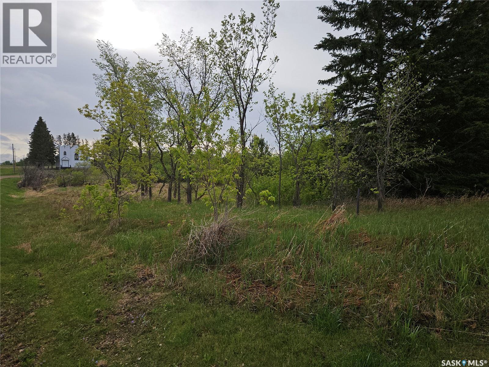 Peterson Lots, Bayne Rm No. 371, Saskatchewan  S0K 2V0 - Photo 11 - SK047427