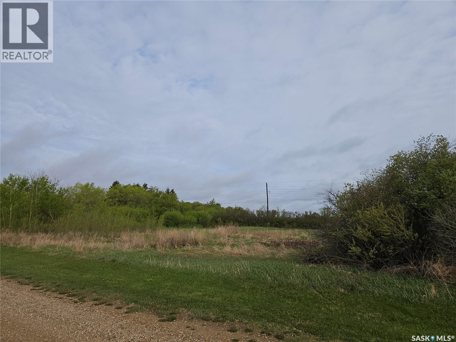 Peterson Lots, Bayne Rm No. 371, Saskatchewan  S0K 2V0 - Photo 14 - SK047427