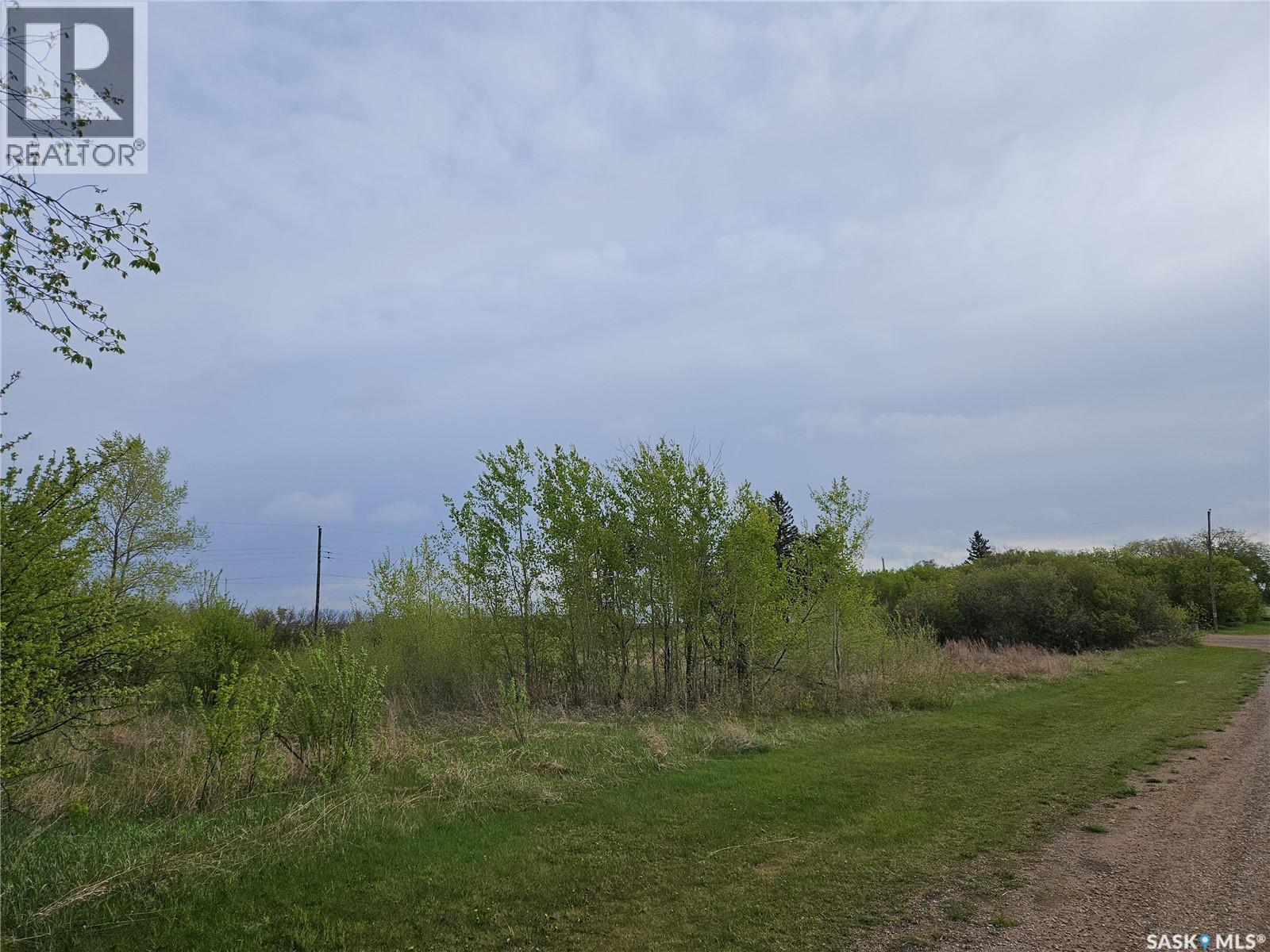 Peterson Lots, Bayne Rm No. 371, Saskatchewan  S0K 2V0 - Photo 15 - SK047427