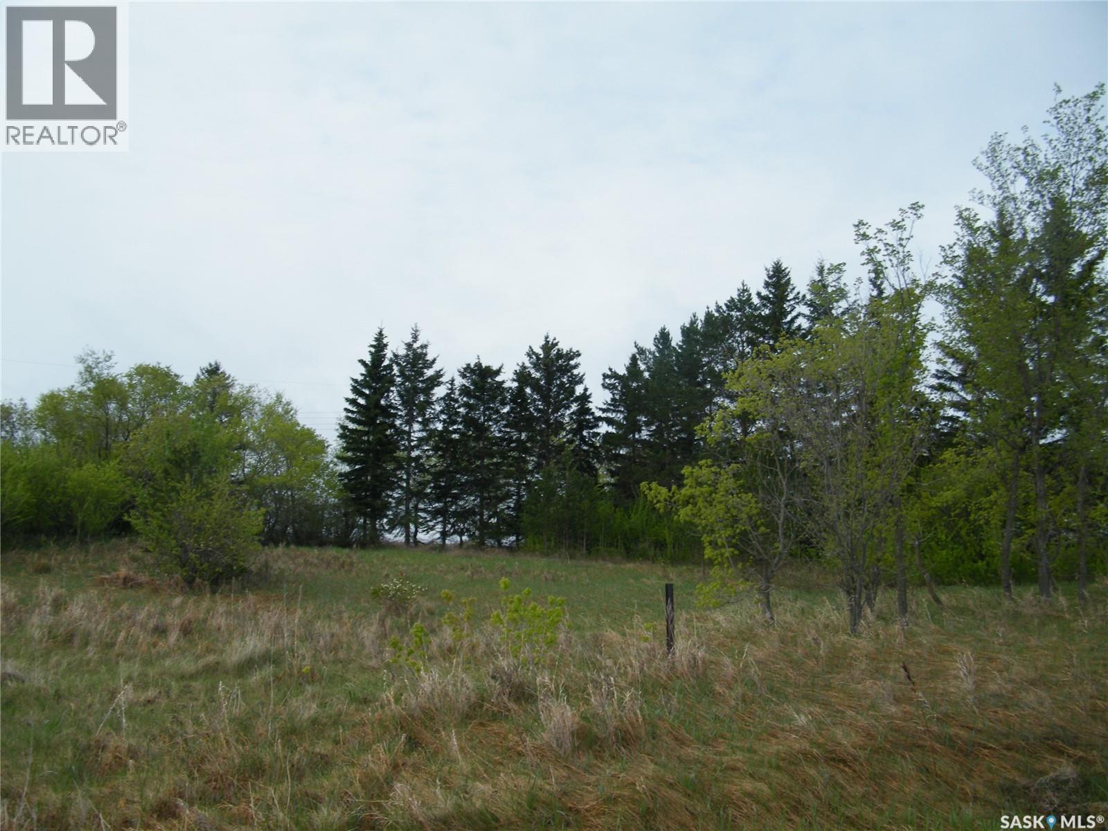 Peterson Lots, Bayne Rm No. 371, Saskatchewan  S0K 2V0 - Photo 16 - SK047427