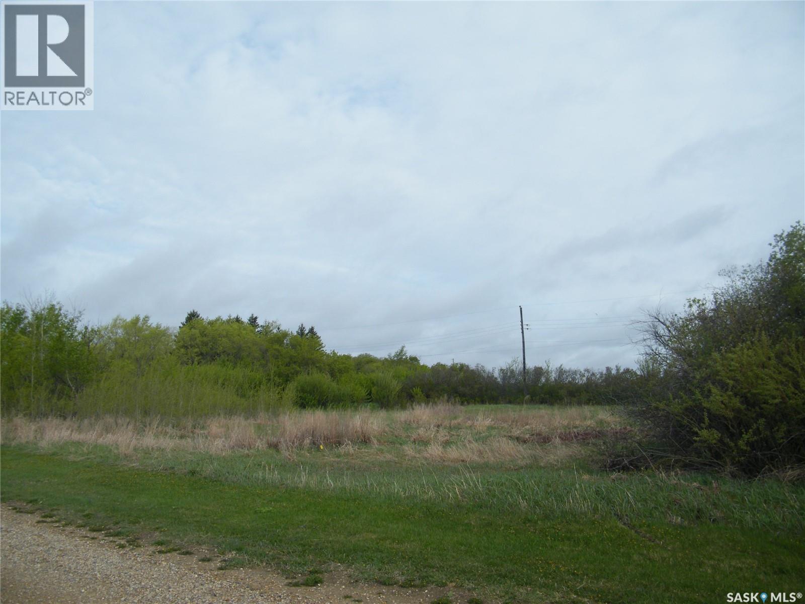 Peterson Lots, Bayne Rm No. 371, Saskatchewan  S0K 2V0 - Photo 20 - SK047427