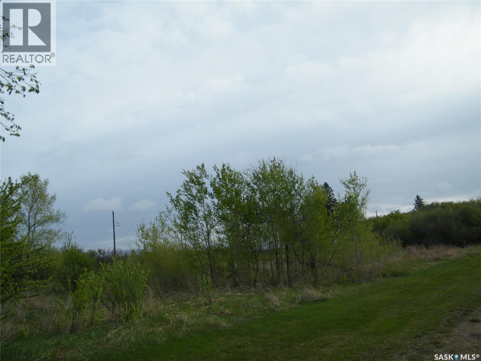 Peterson Lots, Bayne Rm No. 371, Saskatchewan  S0K 2V0 - Photo 21 - SK047427