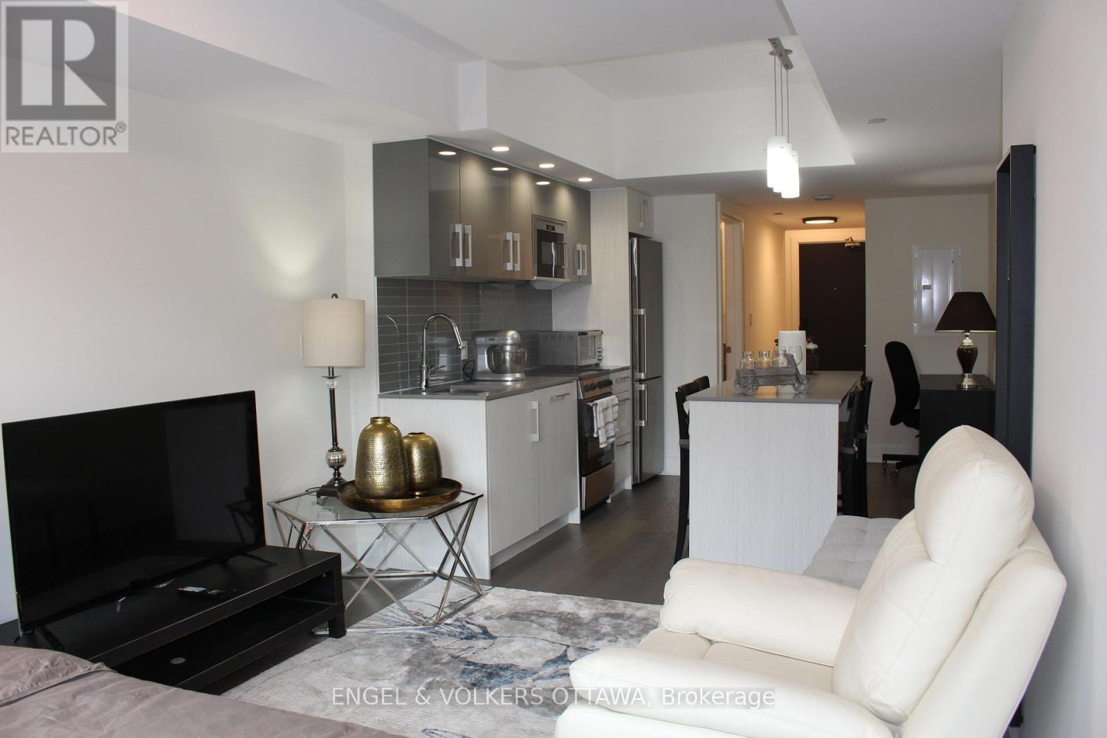 201 - 255 Bay Street, Ottawa, Ontario  K1R 0C5 - Photo 4 - X13741170
