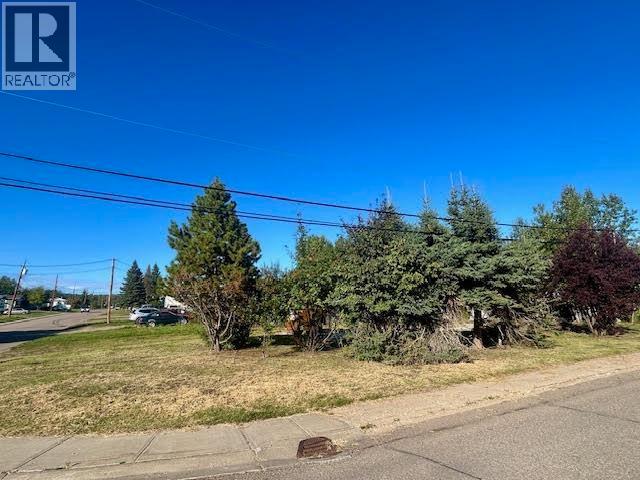 5204 41 Street, Fort Nelson, British Columbia  V0C 1R0 - Photo 3 - R3161226
