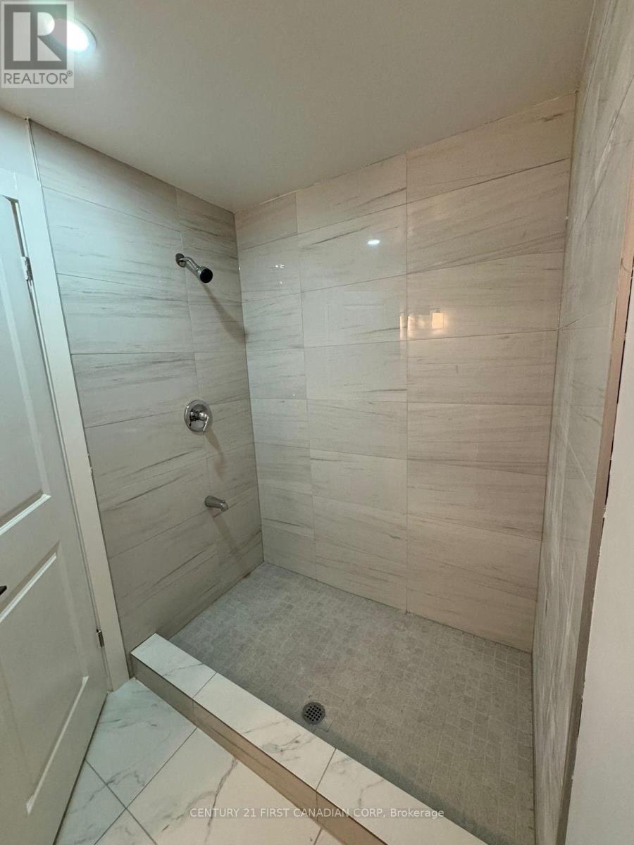 Basement - 470 Jessica Way, London North, Ontario  N6G 0T4 - Photo 16 - X13741396