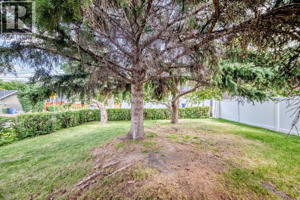 1735 38 Avenue Sw, Calgary, Alberta  T2T 2K3 - Photo 42 - A2330795