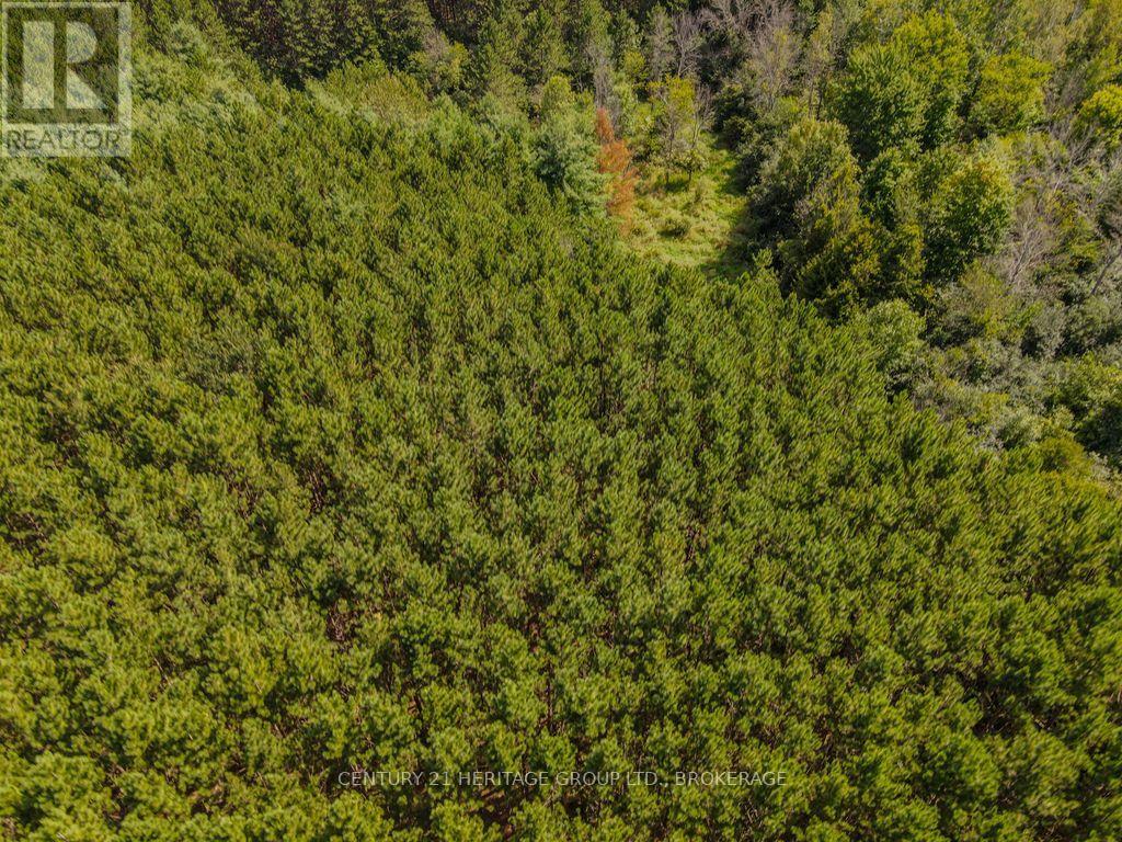 817 Powers Road, Tay Valley, Ontario  K7H 3C5 - Photo 17 - X13741596