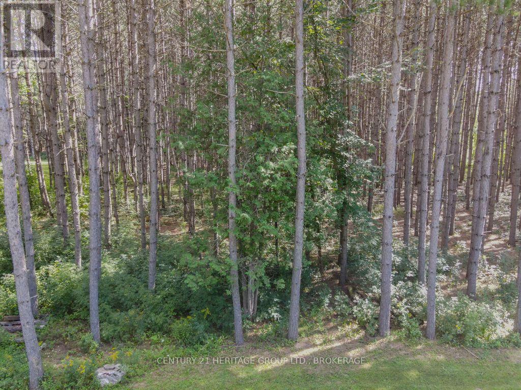 817 Powers Road, Tay Valley, Ontario  K7H 3C5 - Photo 18 - X13741596
