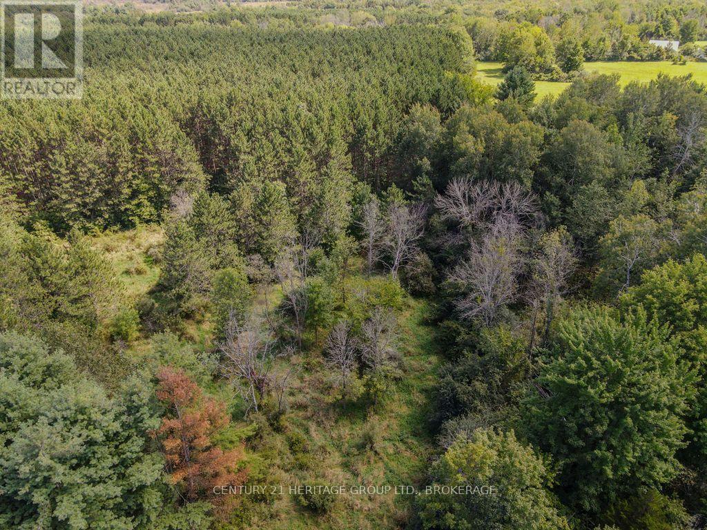 817 Powers Road, Tay Valley, Ontario  K7H 3C5 - Photo 9 - X13741596
