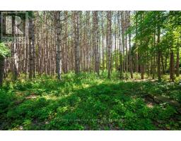 817 POWERS ROAD, Tay Valley, Ontario