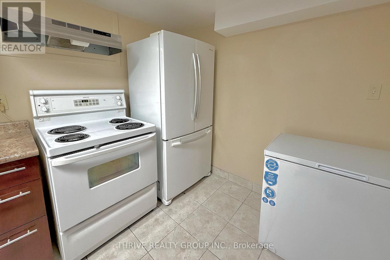 Lower - 230 University Crescent, London East, Ontario  N6A 2L5 - Photo 9 - X13741568