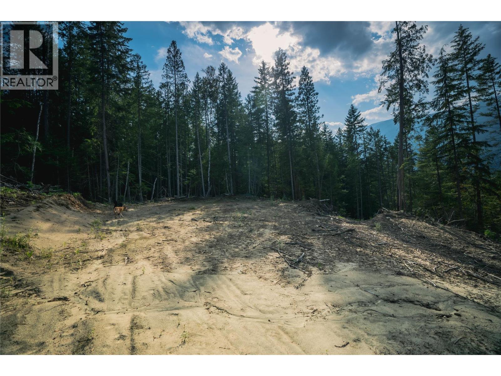 5396 6 Highway, Winlaw, British Columbia  V0G 2J0 - Photo 43 - 10389307