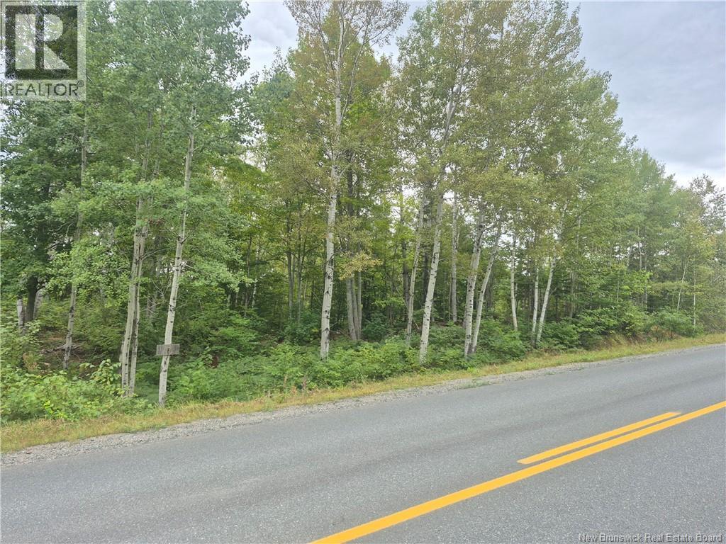 2.6 Acres Nicholas Denys, Nicholas Denys, New Brunswick