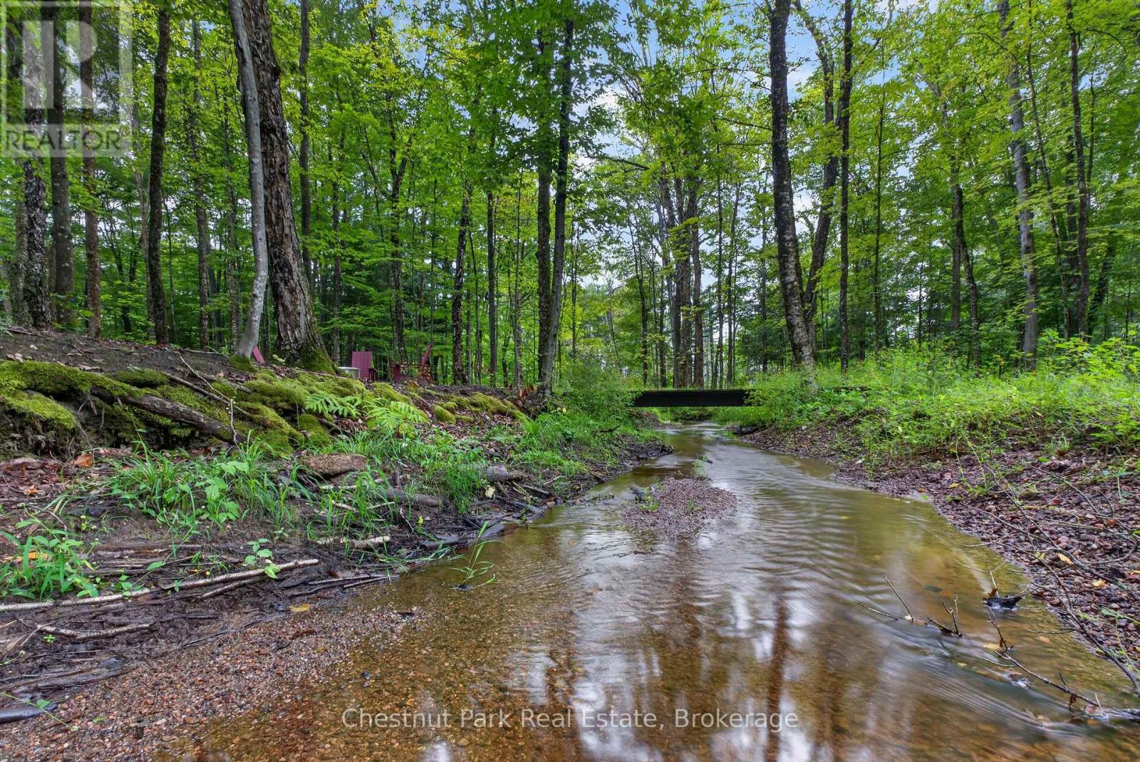 1267 Dawson Road, Muskoka Lakes (Watt), Ontario  P0B 1M0 - Photo 42 - X13741566