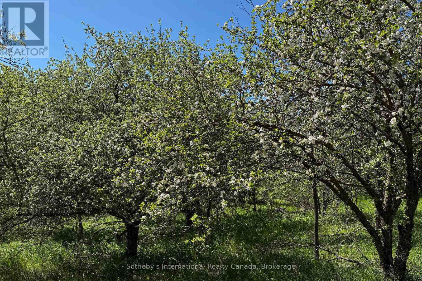 958465 7 Line E, Mulmur, Ontario  L9V 0M9 - Photo 10 - X13741652