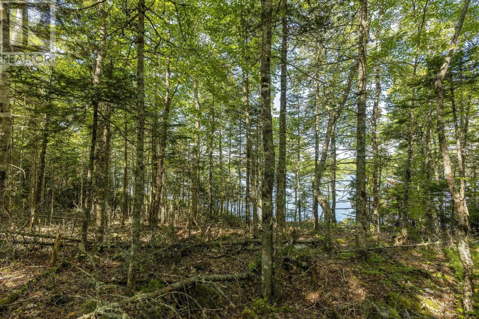 Lot 7a Duck Pond Road N, Black River Lake, Nova Scotia  B0M 1B0 - Photo 6 - 202622265