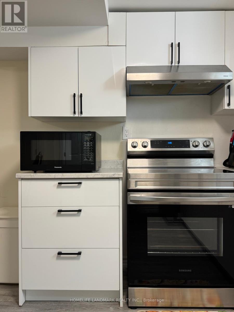 Lower - 50 Addison Street, Richmond Hill, Ontario  L4C 7L8 - Photo 11 - N13741574
