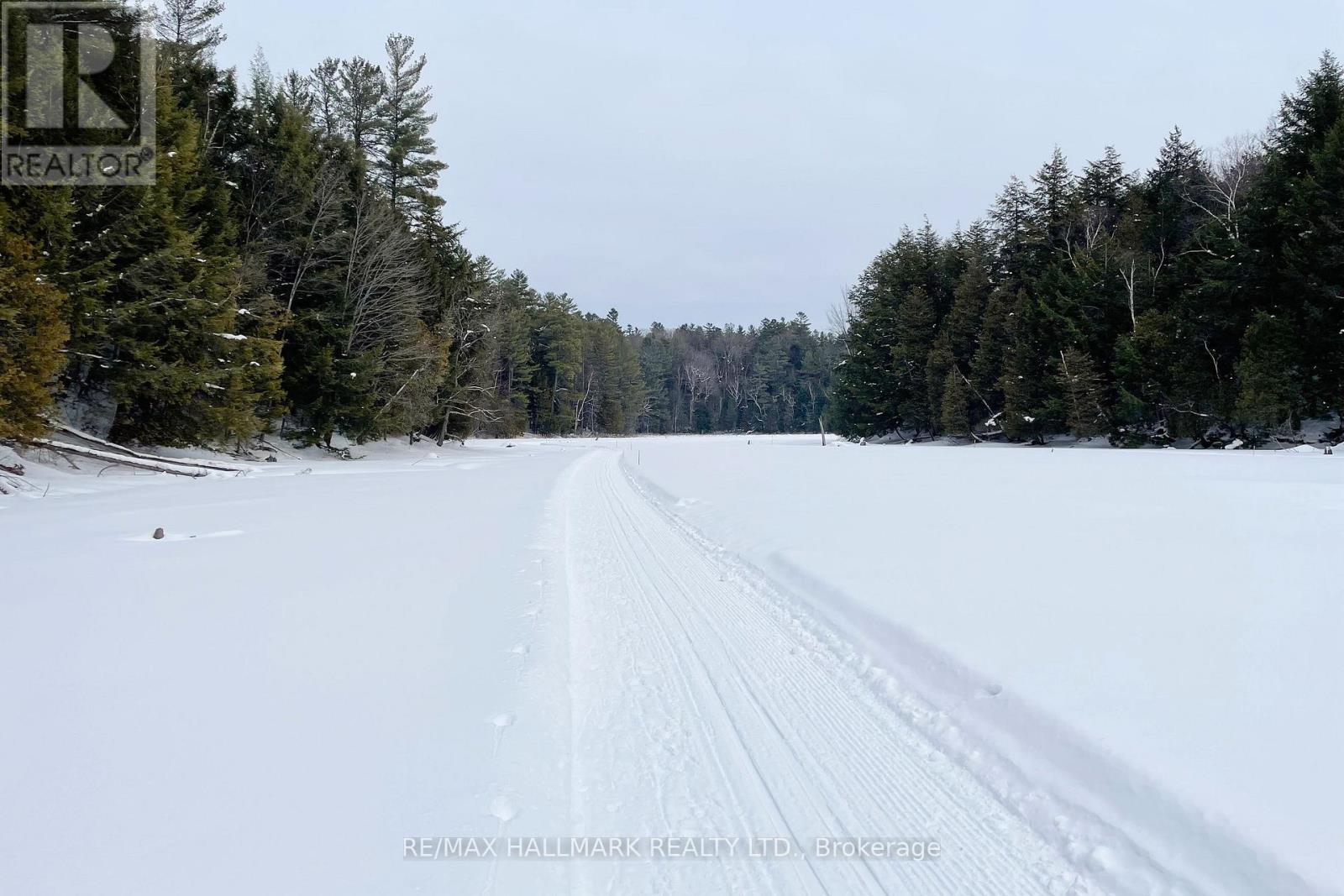 1157 Artisan Lane, Dysart Et Al, Ontario  K0M 1S0 - Photo 47 - X13741548