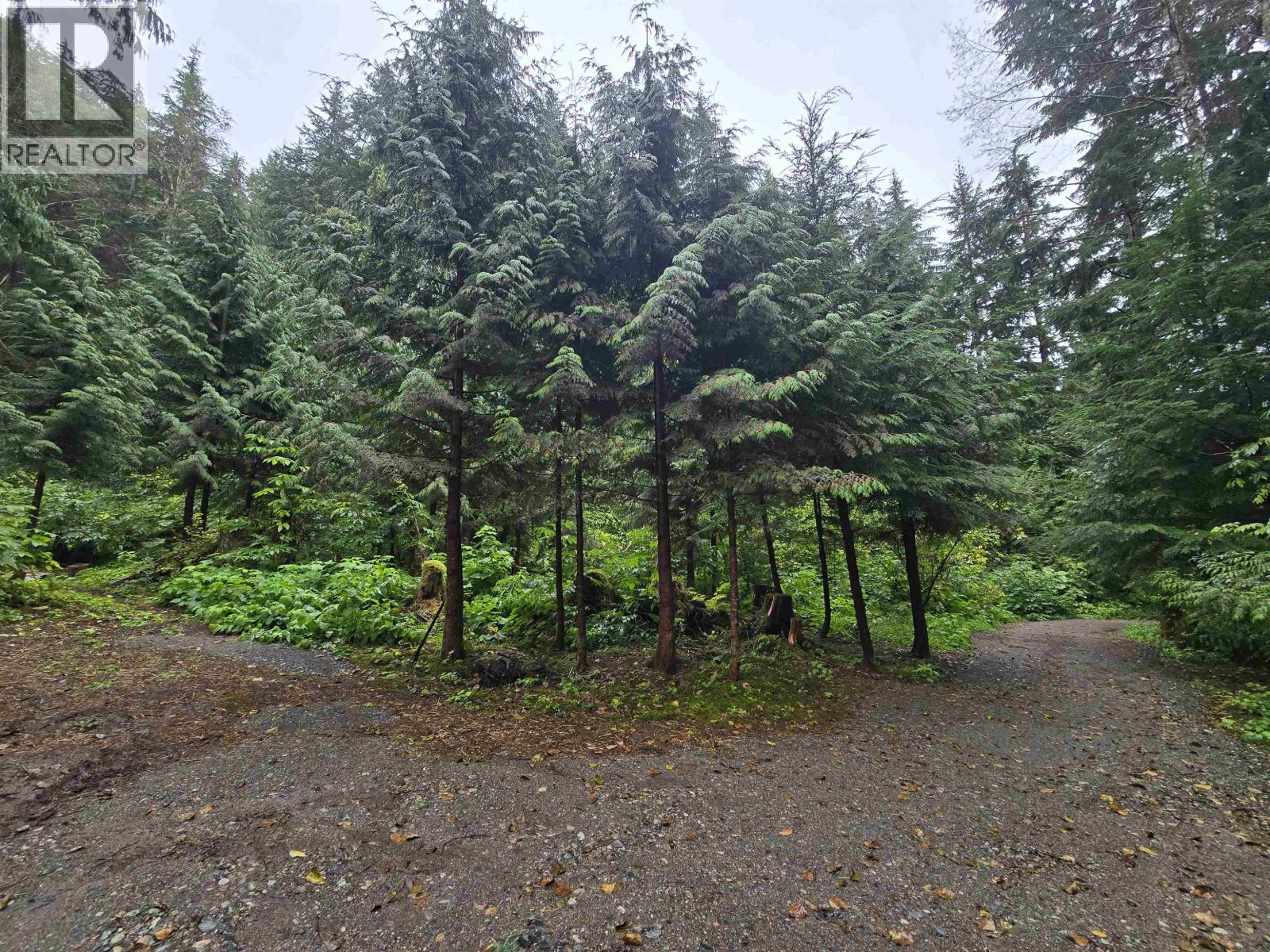 Lot A Usk, Terrace, British Columbia V8G 0A8 - Photo 7 - R3161271