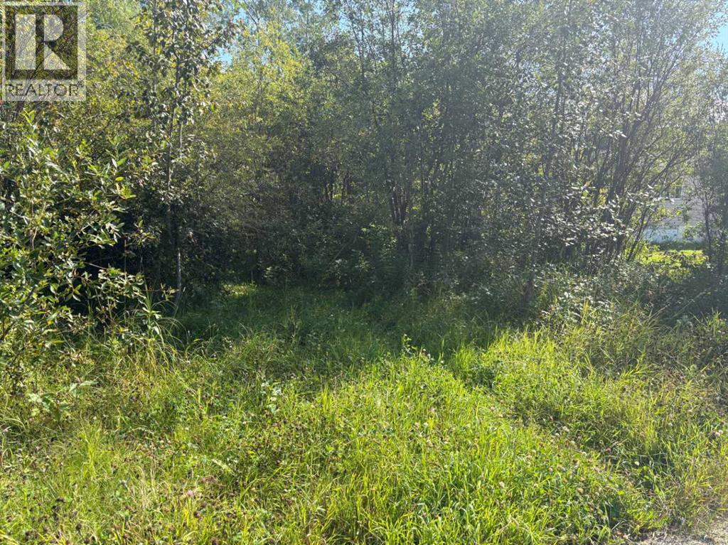 2607 Saskatoon Lane, Wabasca, Alberta  T0G 2K0 - Photo 5 - A2237635
