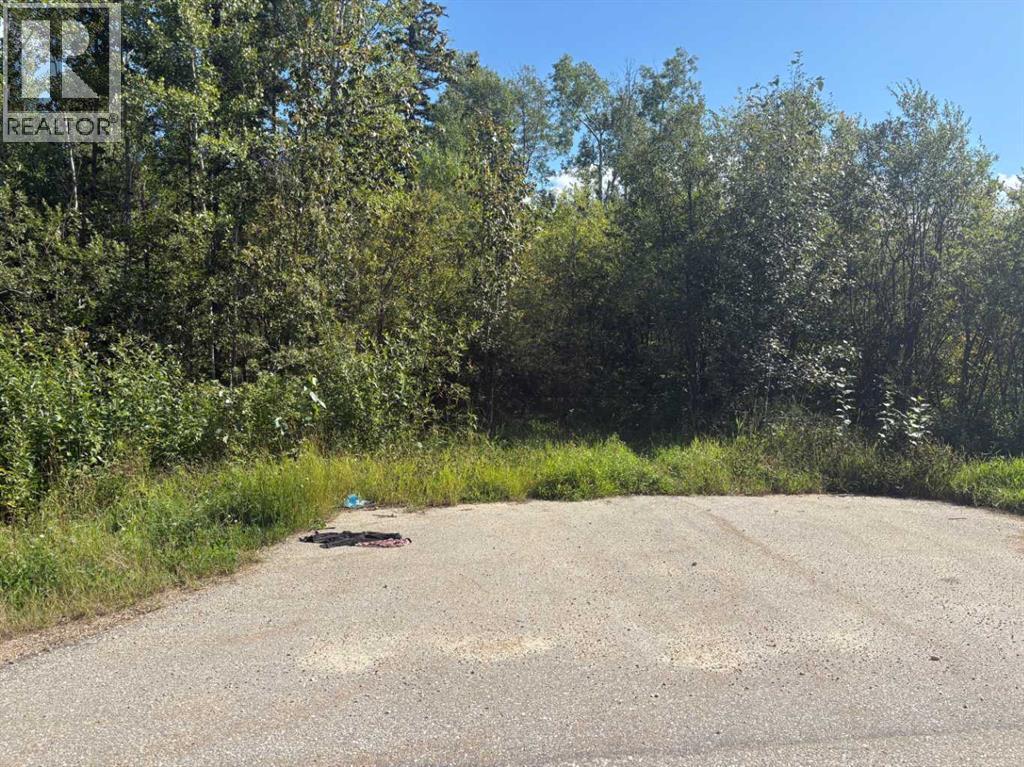 2607 Saskatoon Lane, Wabasca, Alberta  T0G 2K0 - Photo 7 - A2237635