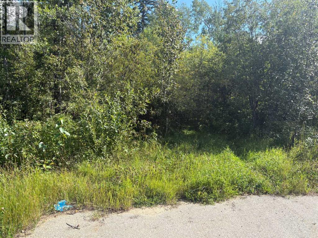 2607 Saskatoon Lane, Wabasca, Alberta  T0G 2K0 - Photo 4 - A2237635