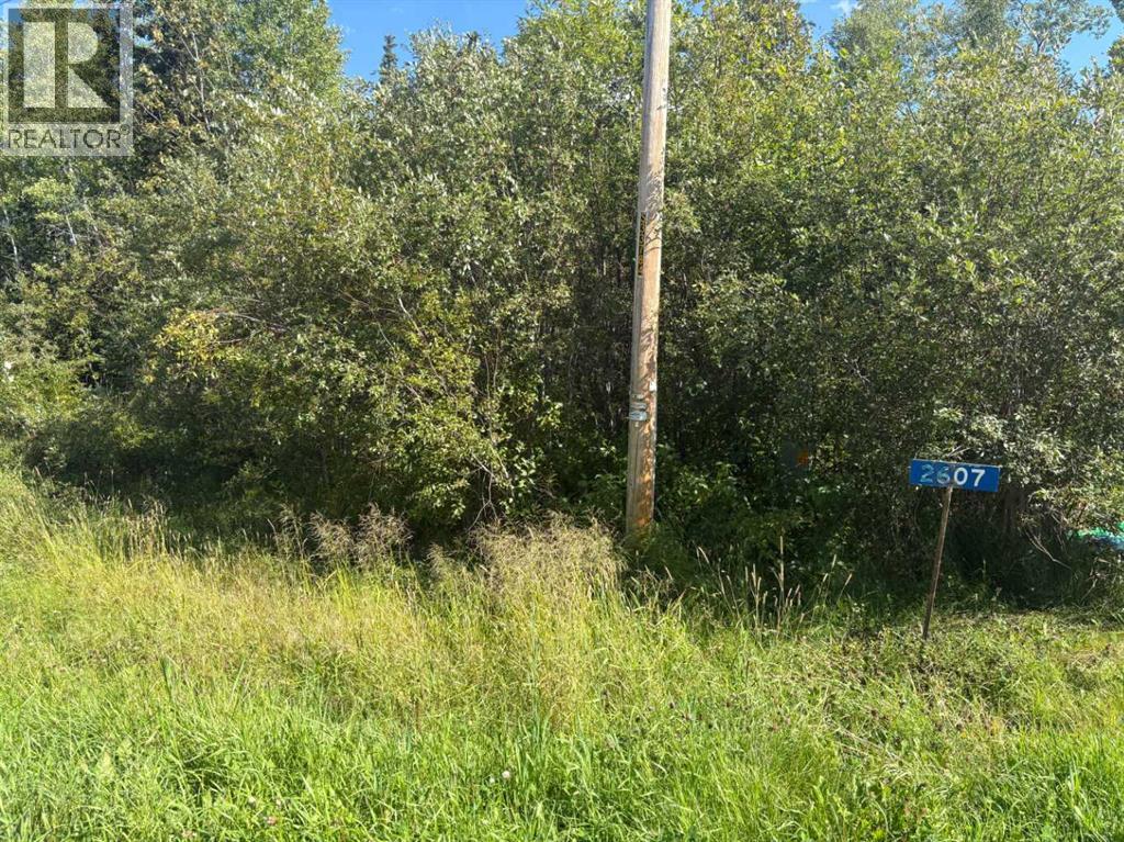 2607 Saskatoon Lane, Wabasca, Alberta  T0G 2K0 - Photo 6 - A2237635