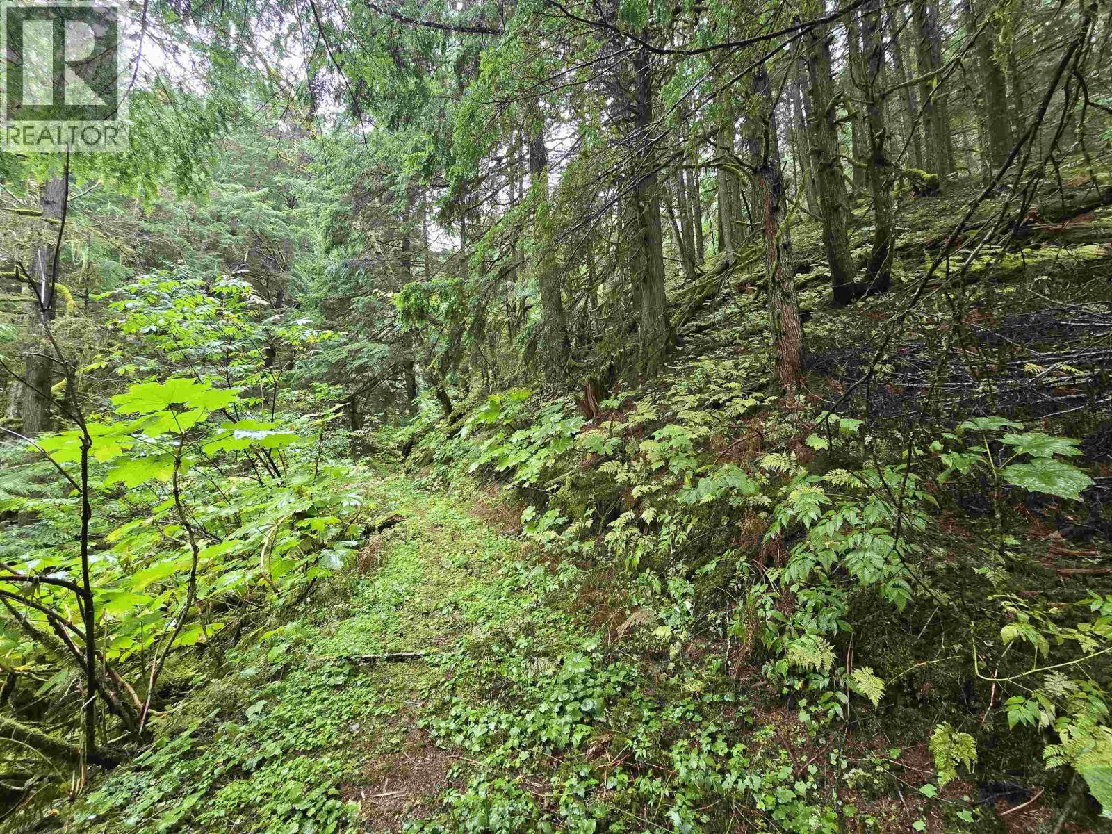 Lot A Usk, Terrace, British Columbia V8G 0A8 - Photo 5 - R3161271