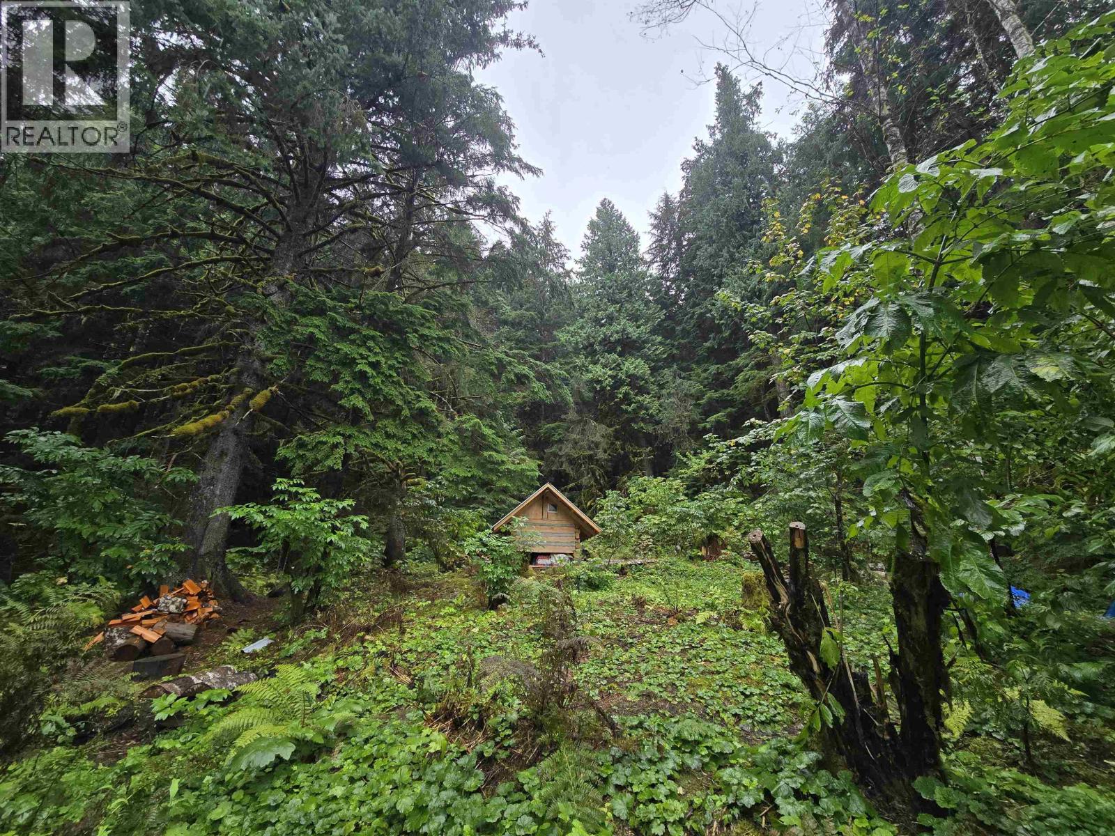Lot A Usk, Terrace, British Columbia V8G 0A8 - Photo 8 - R3161271