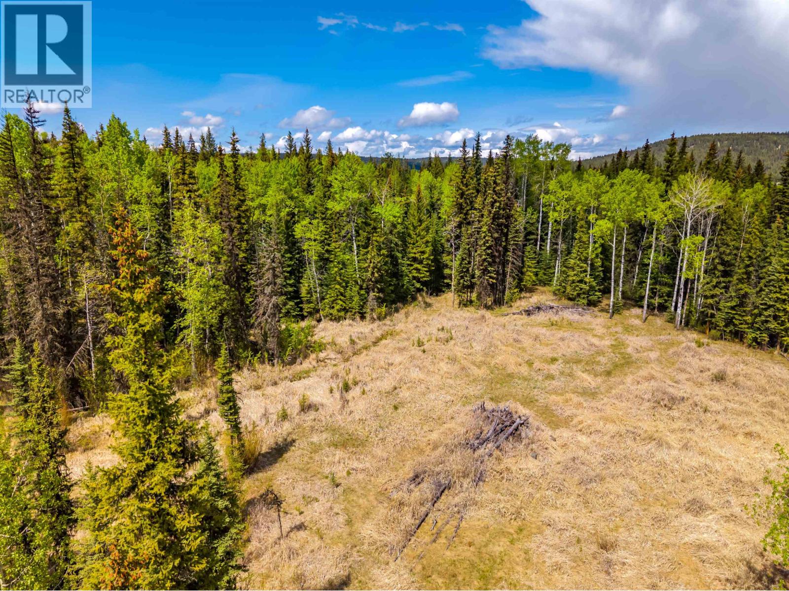 Lot 11 Pegasus Road, Horse Lake, British Columbia  V0K 2E3 - Photo 11 - R3161301