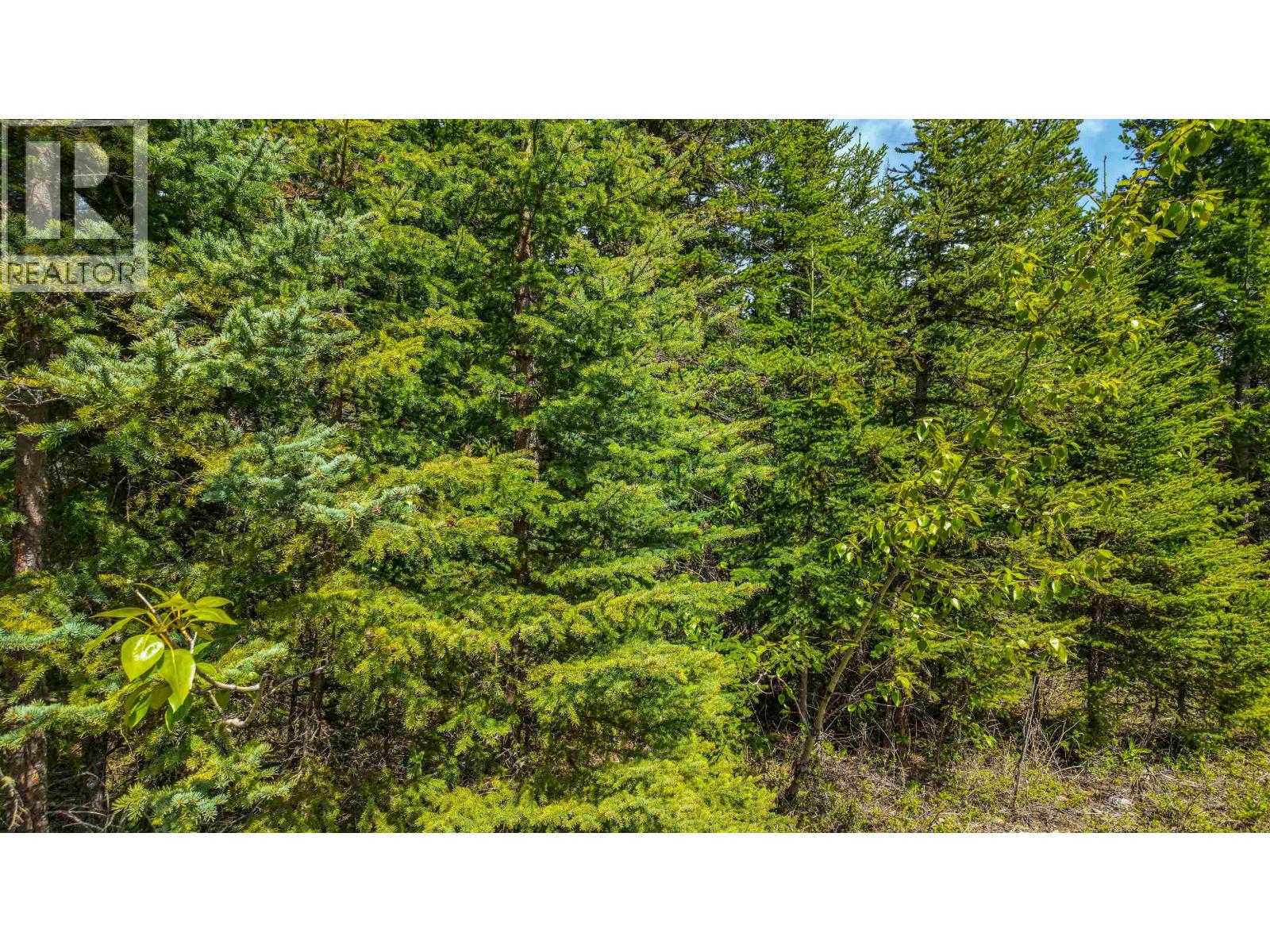 Lot 11 Pegasus Road, Horse Lake, British Columbia  V0K 2E3 - Photo 12 - R3161301