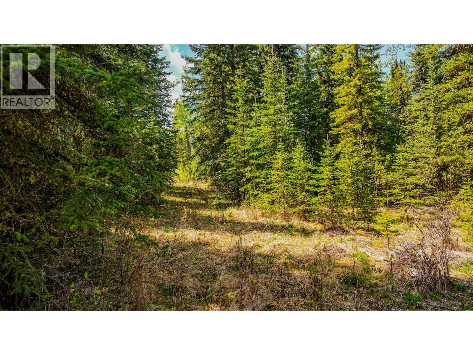 Lot 11 Pegasus Road, Horse Lake, British Columbia  V0K 2E3 - Photo 2 - R3161301