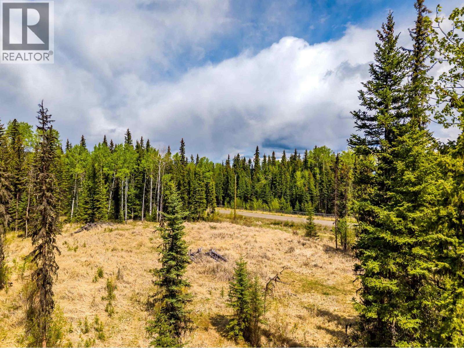 Lot 11 Pegasus Road, Horse Lake, British Columbia  V0K 2E3 - Photo 3 - R3161301