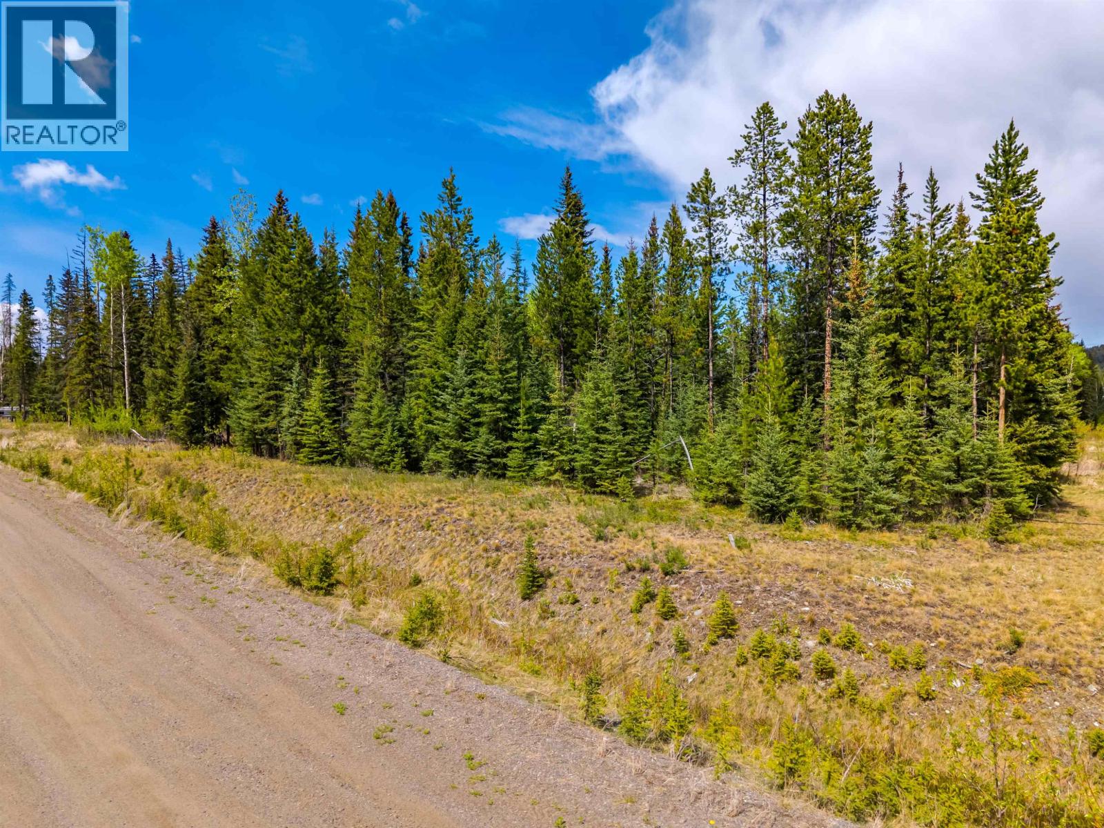 Lot 11 Pegasus Road, Horse Lake, British Columbia  V0K 2E3 - Photo 9 - R3161301