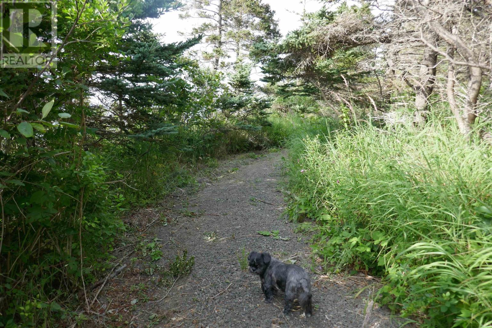 Lot (Pid 05110853) Shore Road W, Litchfield, Nova Scotia  B0S 1A0 - Photo 31 - 202614427